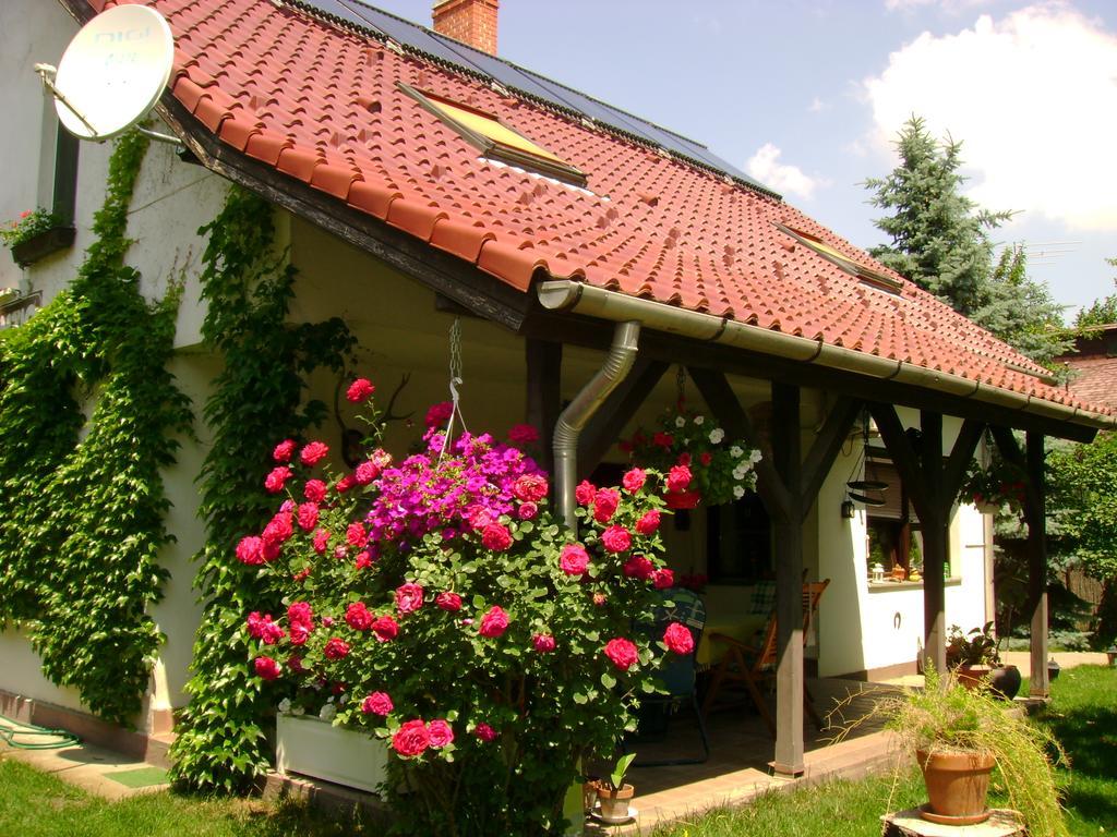 Hotel Kakukk Vendeghaz Gárdony Zewnętrze zdjęcie